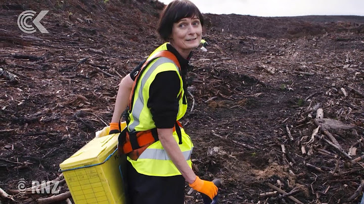 How hard is it to plant trees for a living? Lisa Owen finds out