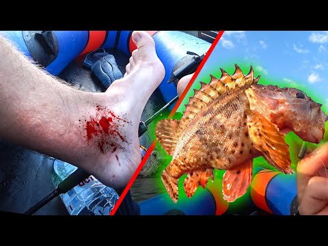 МЕНЯ УКОЛОЛА ЯДОВИТАЯ РЫБА! Рыбалка в МОРЕ на КАЯКЕ! Крым, Симеиз