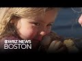 Little girl lost her beloved stuffed animal at the Boston Marathon. Here's how she got it back.