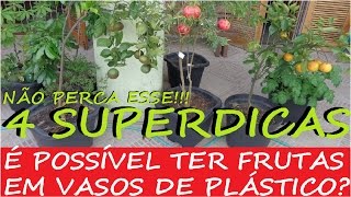 4 Dicas Para Produzir Frutas em Vasos de Plástico Pequenos