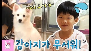 애견카페에서 강아지 근처도 못가는 다린! 강아지를 왜이렇게 무서워하는걸까요? - [토깽이네상상놀이터][토상놀]