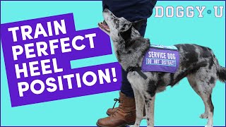 TRAIN THIS FIRST! Loose Leash Walking Foundation: Come to Heel by DOGGY•U 8,363 views 6 months ago 9 minutes, 53 seconds