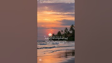 #تلاوة_خاشعة #اكسبلور #istagfar #دويتو #yasseraldossary #حالات_واتس #quran #قرآن #راحة_نفسية #لايك