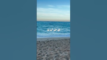 تلاوة خاشعة للقارئ محمد أيوب #quran #حصن_المسلم #راحة_نفسية #الله#محمد_ايوب#آيات