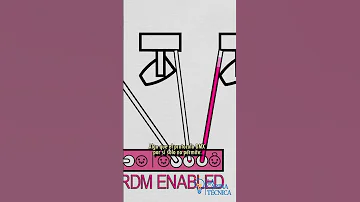 ¿Cuál es el significado de RDM?