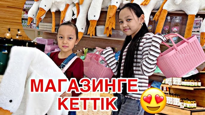 Бір қыз, екі мысық