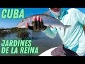 Fly Fishing Cuba: Day 5 Vlog - Friendly (& Hilarious) Bonefish Competition