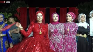 Süper Şevko Halayı 2024 - Yeni Kürtçe Halay - Kurdish Wedding Resimi