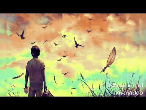 فيديو واتس اقولك ايه