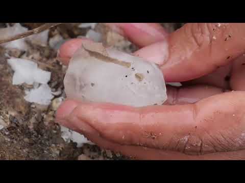 10.Movado Red Label Automatic Black Dial Mens Watch US: https://amzn.to/2vGSfbU UK: https://amzn.to/. 