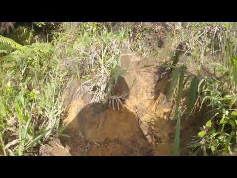 El Pianista, the path after the Mirador - Part 4