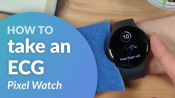 How to use the ECG (Electrocardiogram) app on your Google Pixel Watch