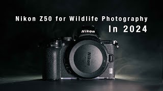 Nikon Z50 in 2024  |  A Wildlife Photographer's Perspective