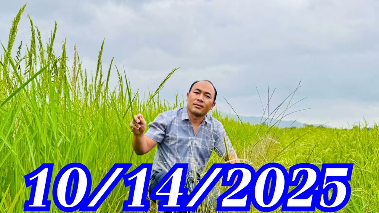 Muab Xav Los Rov Txaj Muag Rau YuTus Kheej Kawg Kiag