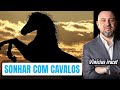 SONHAR COM CAVALOS