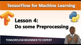 Celebrity TensorFlow Tutorial 4 - Preprocessing the Dataset Net Worth