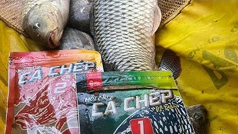 Hành trình tìm con cá Rô Phi kể ở Tự Nhiên và Bán Thiên Nhiên cùng combo Mồi Câu Khó Chịu+Kim Long
