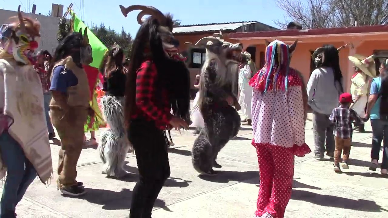 De que te vas a disfrazar en el carnaval?