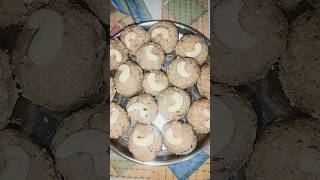 coconut ? ladoo recipe musttryrecipe doneanddustedoutoftheworld shortsvideo