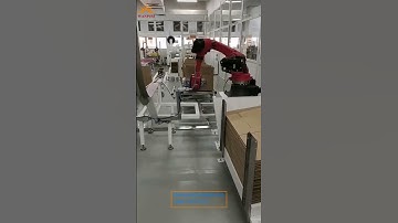Robot Automatic Carton Folding and Forming Machine ZHJ022