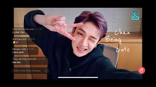 Chan being cute 🥺 Chans room ep. 83 Ending