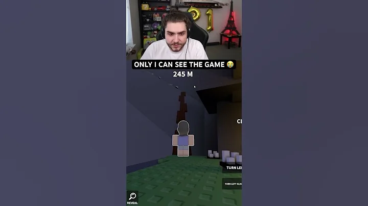 Roblox BUT Only I Can See The Game