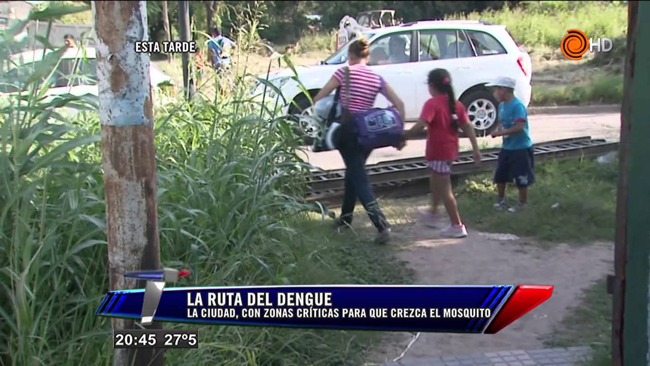 La ruta del dengue. Telenoche. - YouTube