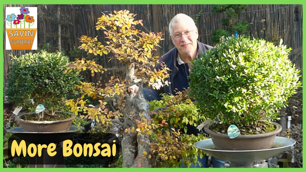 Budget Bonsai Gold! Hidden Gems at Savin Nurseries Tour (Part 2)