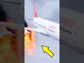 Airplane Engines Caught Fire Mid-Air In GTA 5