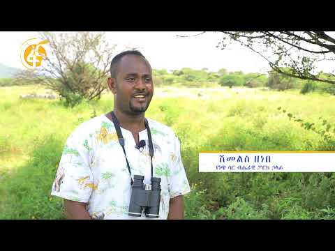 ቪዲዮ: የፓርክ ጃኬትን እንዴት እንደሚለብሱ ዋና ምክሮች