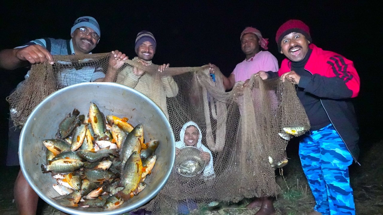 শীতের রাতে পুকুর থেকে জালে করে তাজা পাকা কৈ মাছ ধরে রান্না করে খাওয়া | Fishing and cooking video