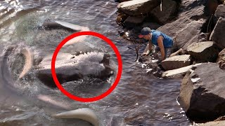 The Scariest Recent Animal Encounters