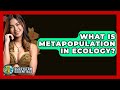 What Is Metapopulation In Ecology? - Ecosystem Essentials