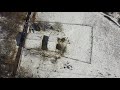 EX PAT LIFE IN ABRUZZO. Drone flight over the snow, a nice relaxing flight over Abruzzo.