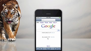 iPhone Programming - Making a URL bar search the web