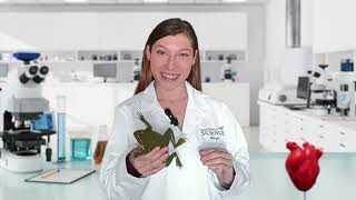 Dissection lesson with Kind Frog from TeachKind Teachkind Kind Frog Dissection Lesson