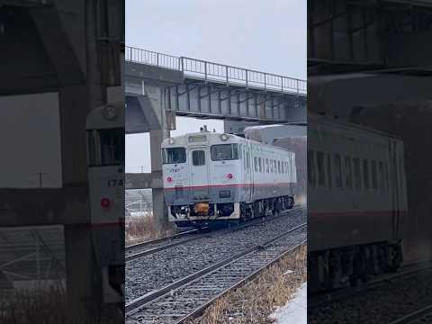 追分を行く宗谷線急行色キハ40