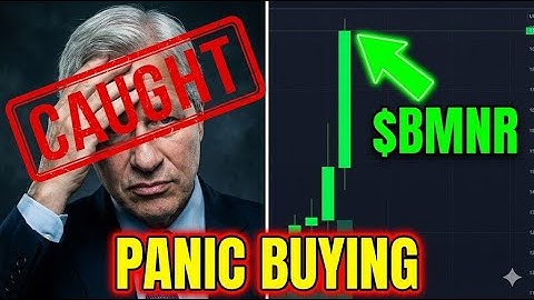 JP Morgan Panic Buying? The $BMNR Data They Can