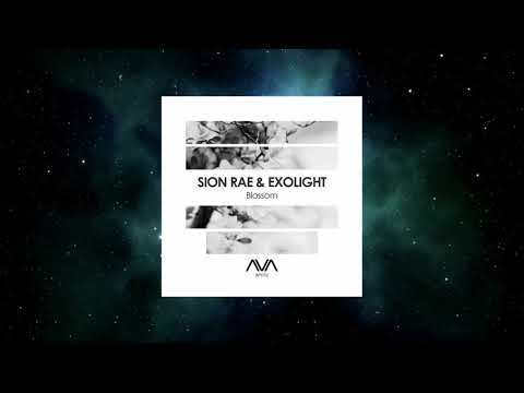 Exolight — Sion Rae & Exolight - Blossom (Extended Mix) [AVA WHITE]
