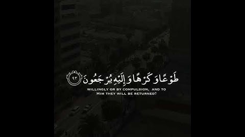 مقاطع قران / حالات واتس اب قران / مقاطع القران / شيخ ياسر الدوسري / سورة ال عمران / مقاطع قرانية