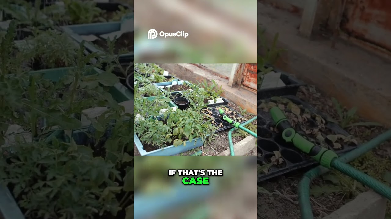 Gardening Tips  Maintain Your Crops For Success!