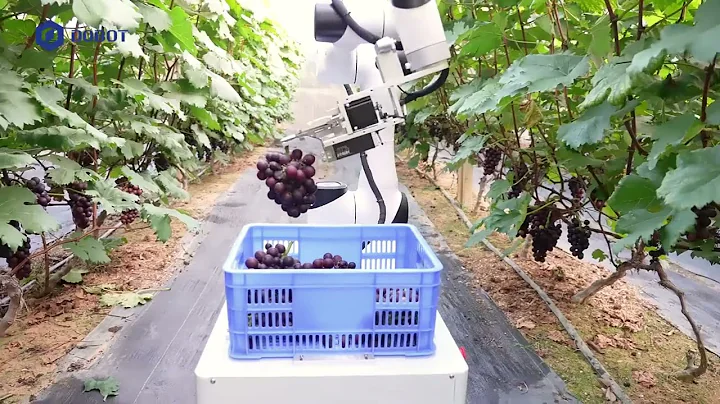 Cobot Helps in Agriculture