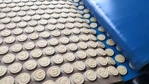 WENVA Soft Biscuit Production Line With Automatic Dough Feeding System