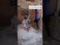 يسبايسى عمرو الكروان