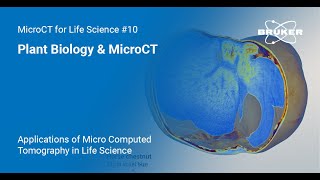 Plant Biology & MicroCT | Applications of MicroCT in Life Science #10 screenshot 1