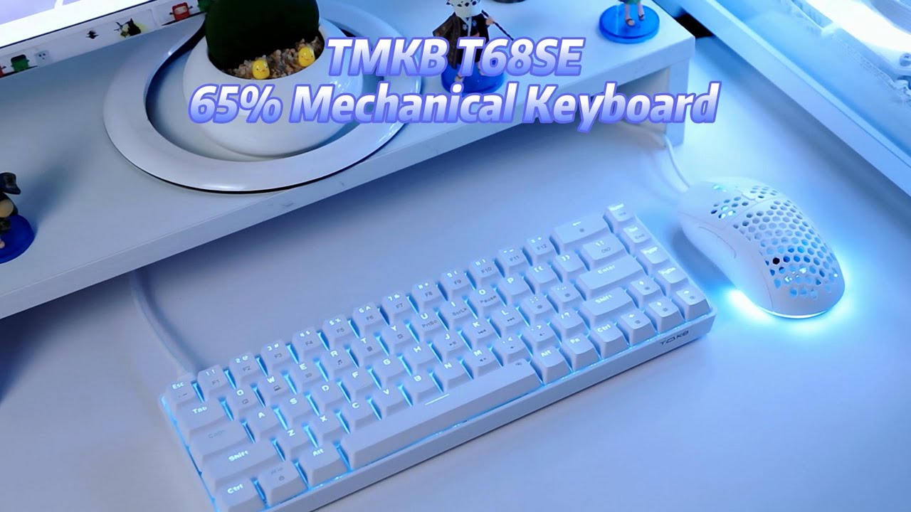 TMKB T68SE RGB USB Mini Gaming Mechanical Keyboard Red Switch 68 Key Gamer  for Computer PC Laptop 65% Wired Detachable Cable