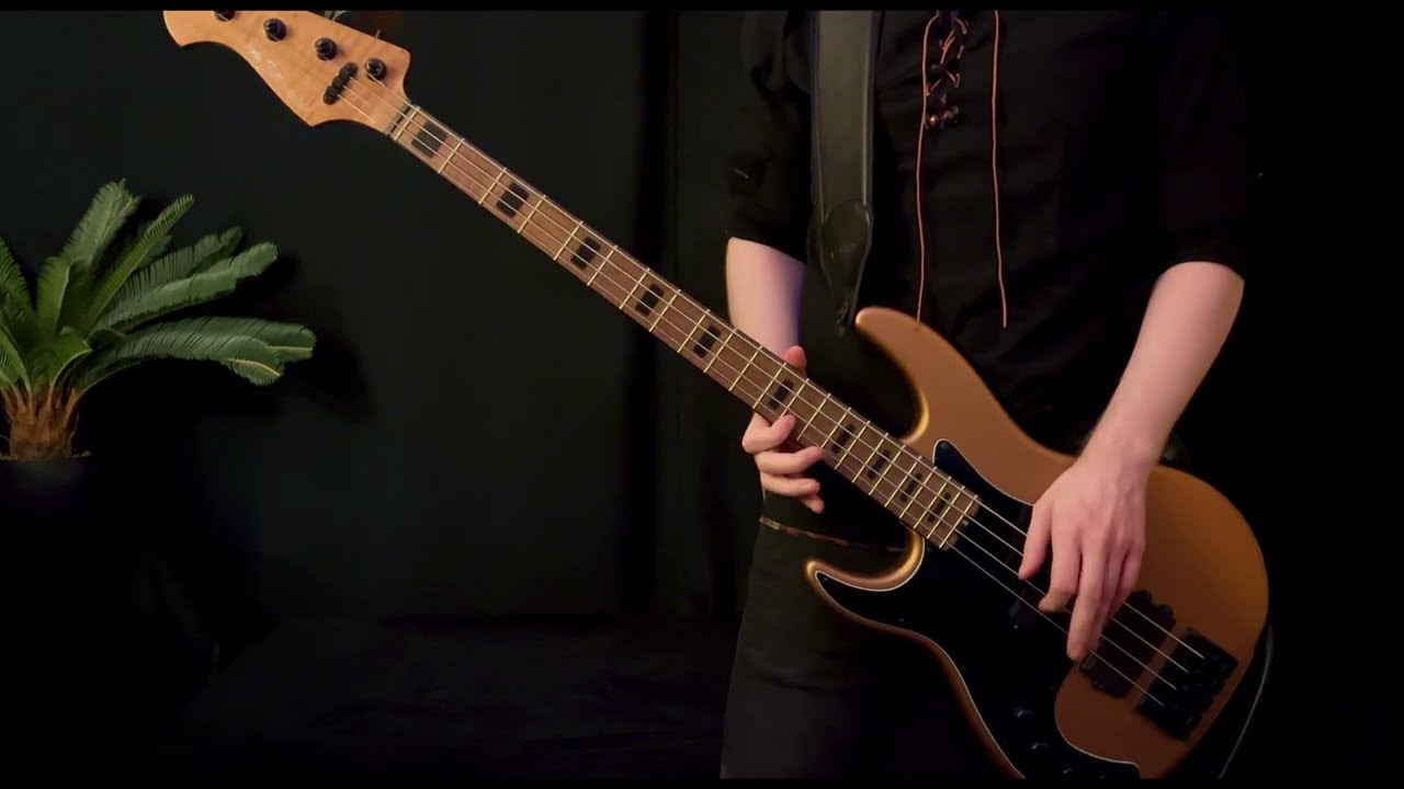Lynyrd Skynyrd – Simple Man – bass cover