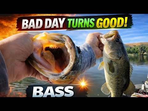 Big bass saves the day!!! (Hart park Bakersfield CA)