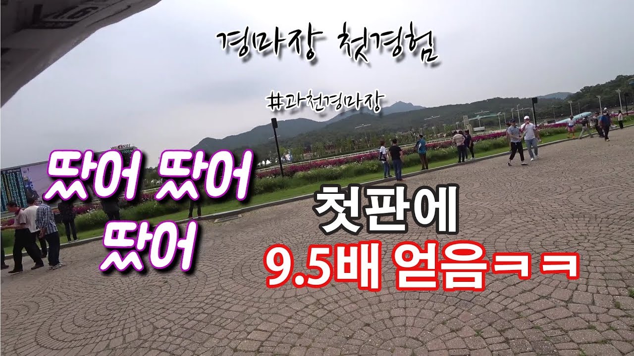 경마장 초보의 첫도전! 처음부터 1등맞춘거 실화? 과천경마장,렛츠런파크