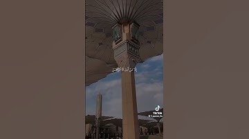 قران كريم "القران يريح القلوب